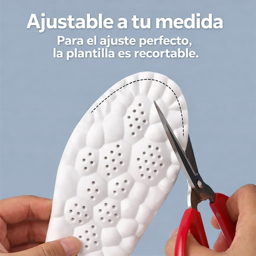 Plantilla ergonómica con tecnología 4D Cloud